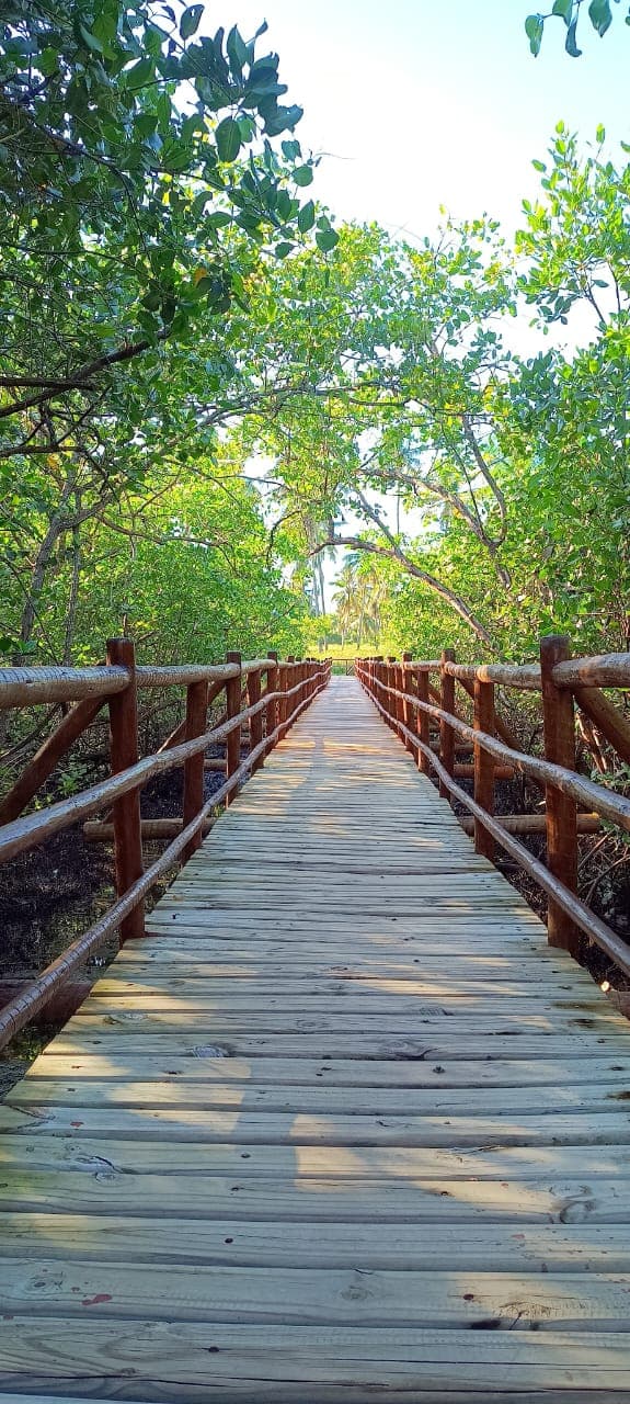 Buggy na beira do mar em São Miguel dos Milagres.